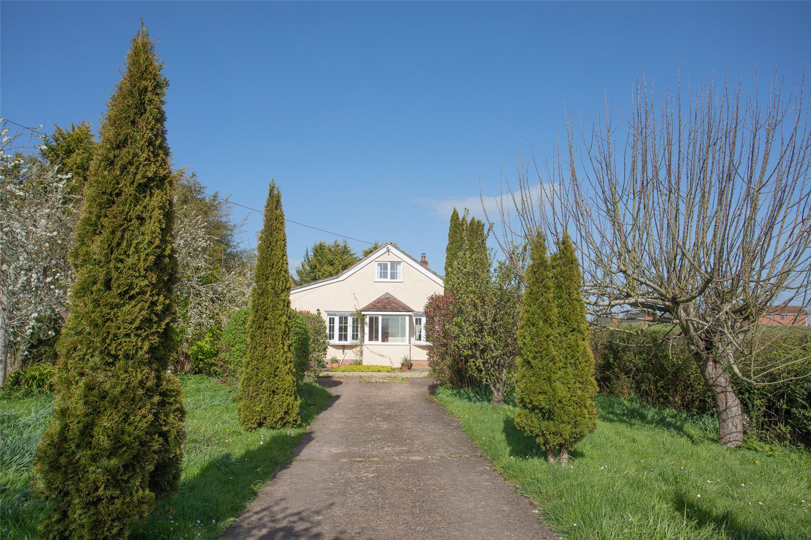 West Yeo Lane, Burrowbridge